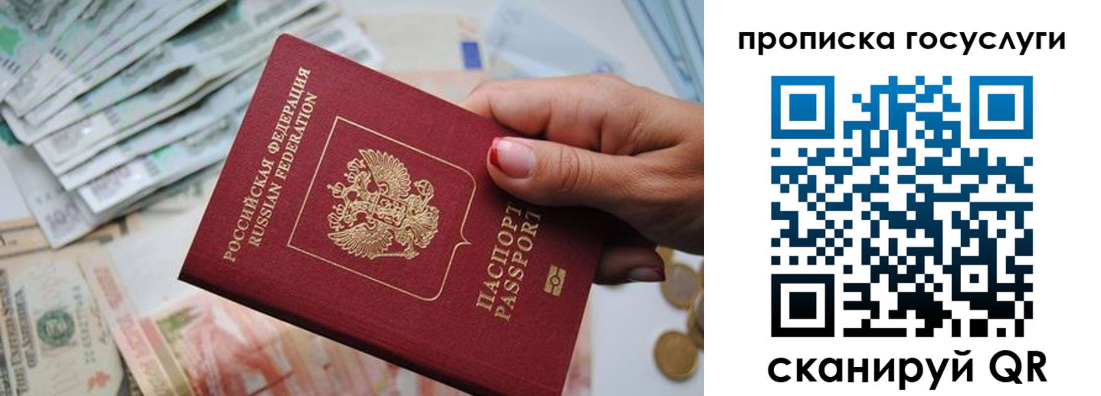 прописка поиск в Ржеве